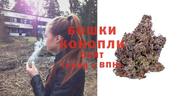 ECSTASY Вяземский