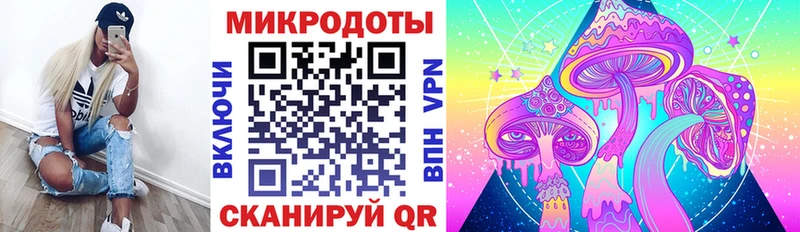 Галлюциногенные грибы GOLDEN TEACHER  Цоци-Юрт 